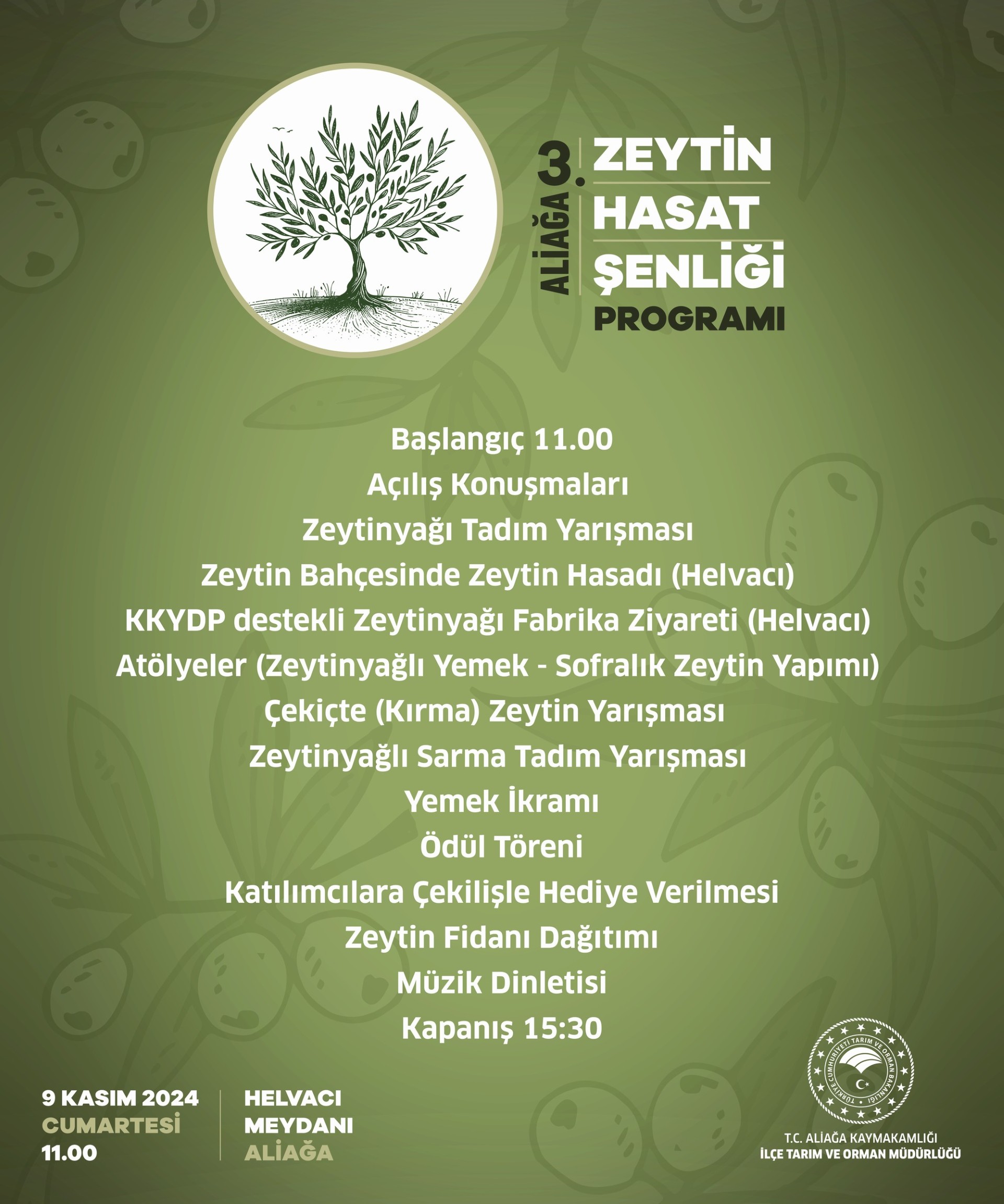 Aliağa 3. Zeytin Hasat Şenliğinde Buluşuyor